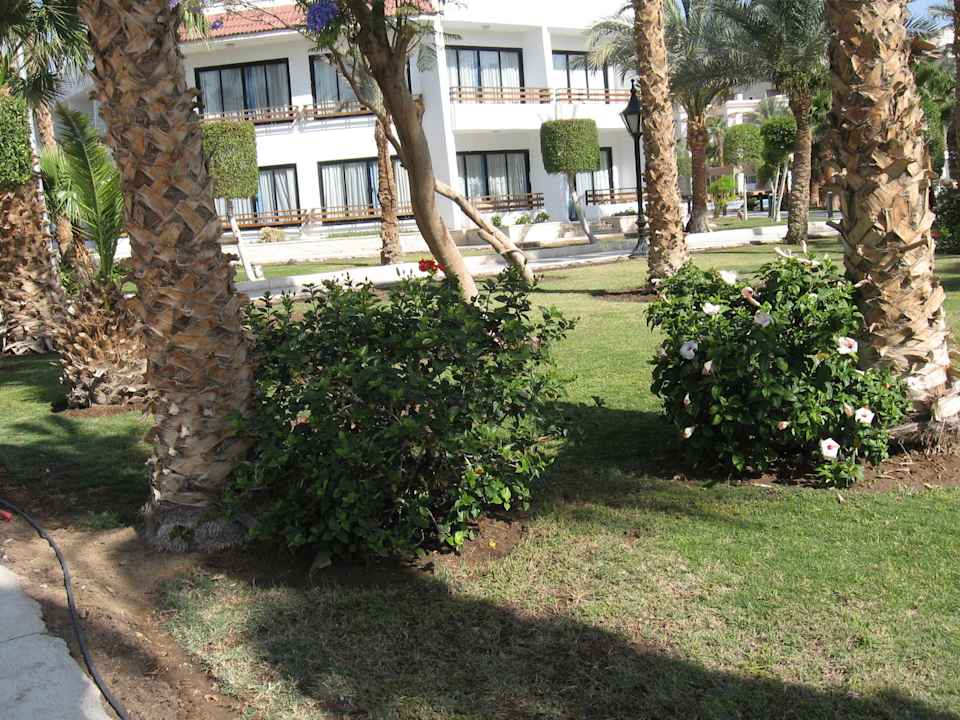 Blick auf Zimmerkomplex The Grand Hotel Hurghada