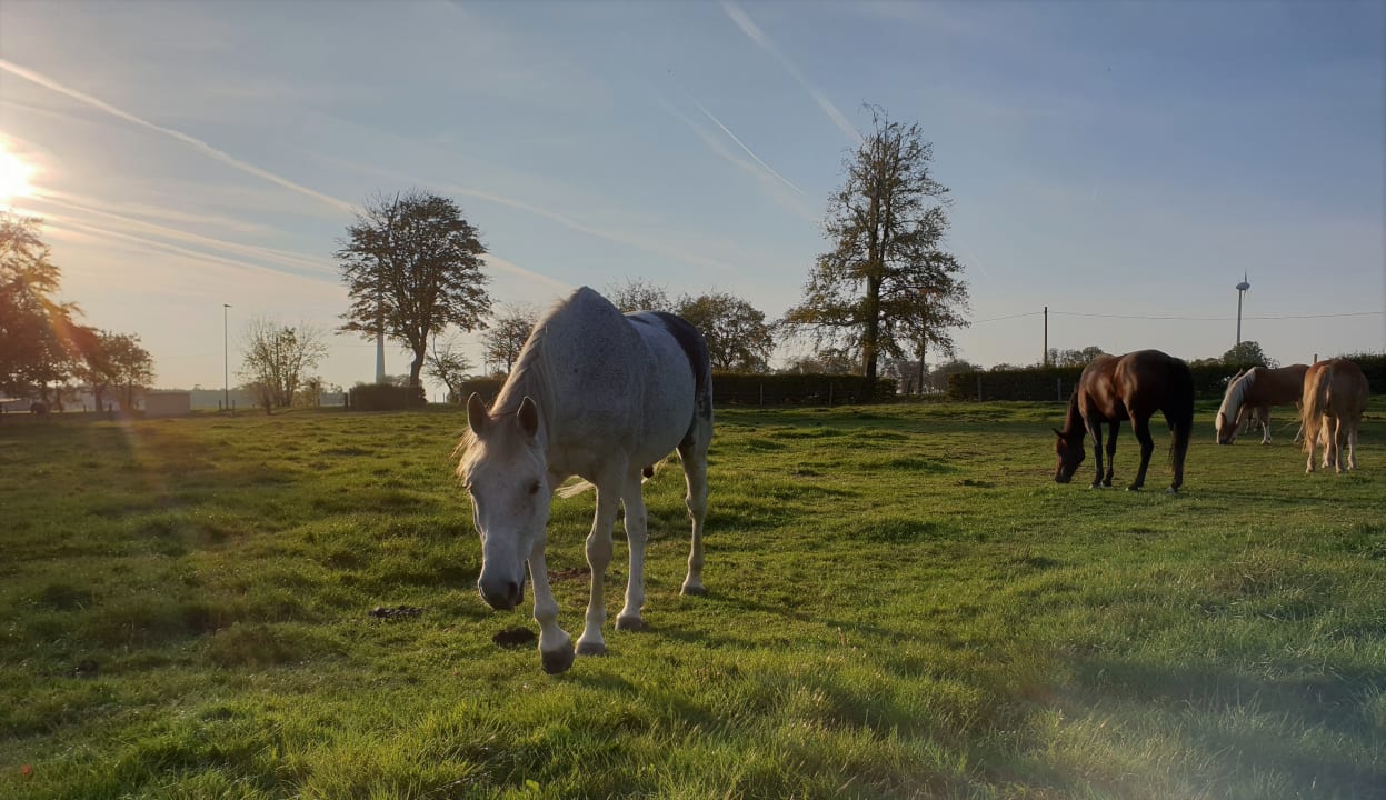 Sonstiges Marxhof (Hürtgenwald) -