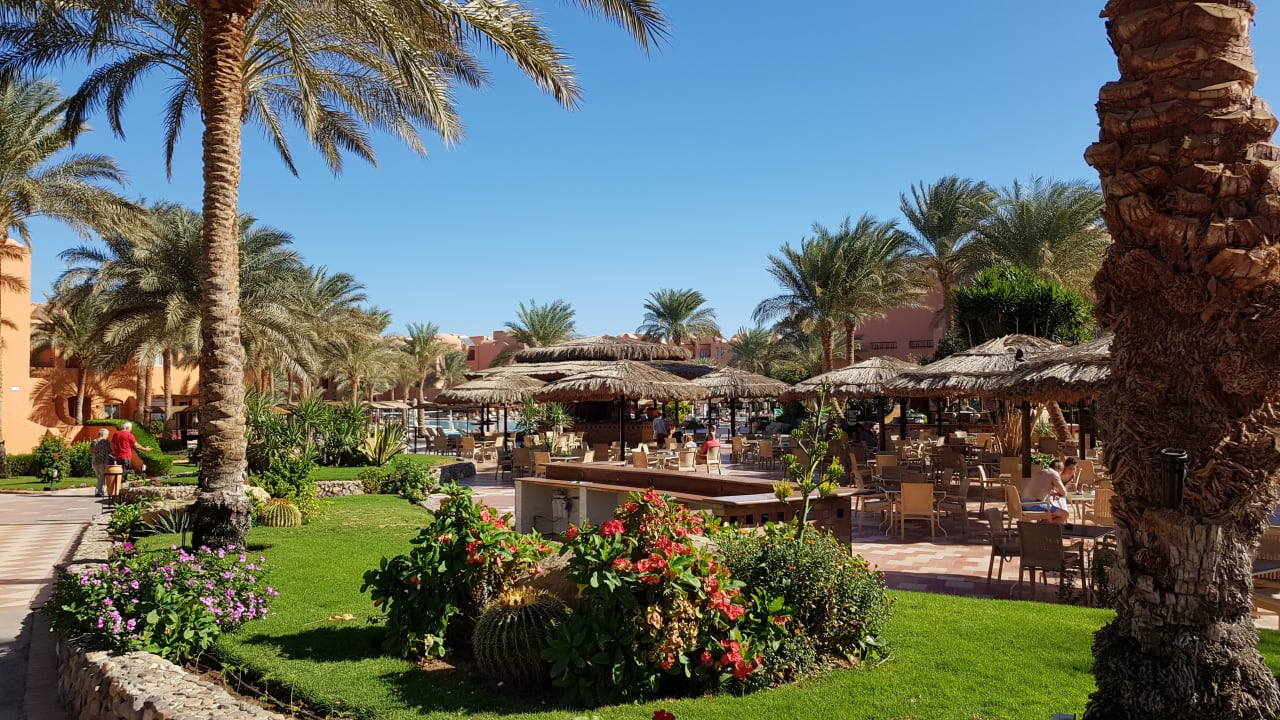 Gartenanlage Jaz Makadi Oasis Resort