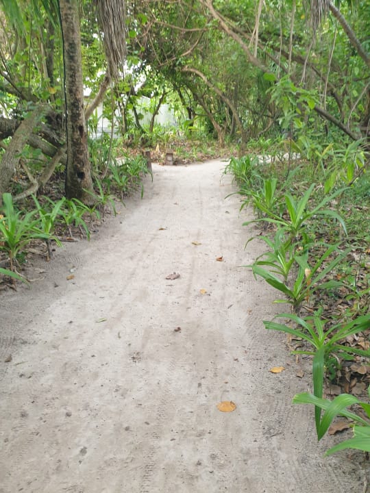 Gartenanlage NH Collection Maldives Reethi Resort