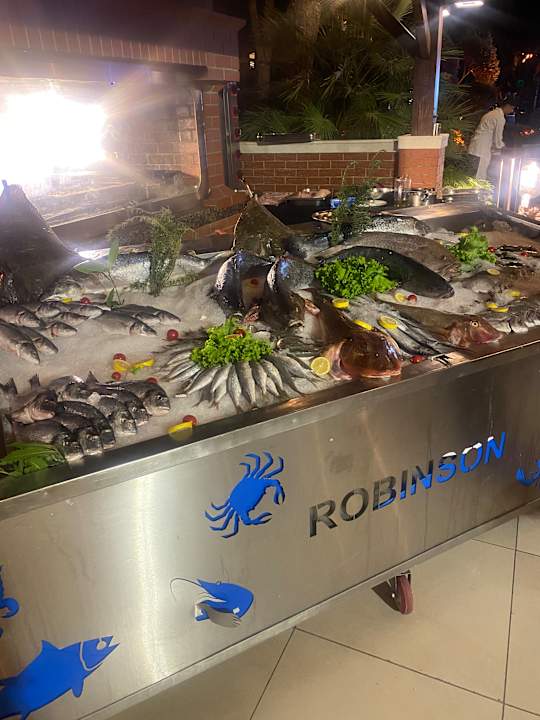 Gastro ROBINSON NOBILIS