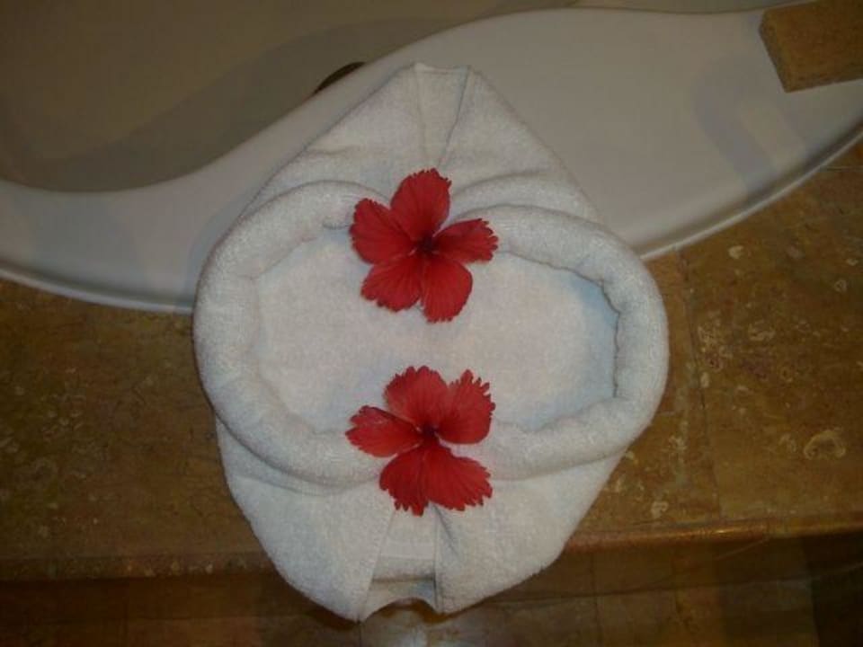 Deko Catalonia Punta Cana - All Inclusive