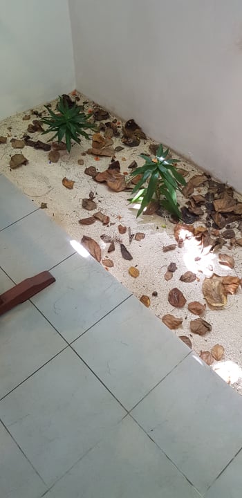 Zimmer Summer Island Maldives