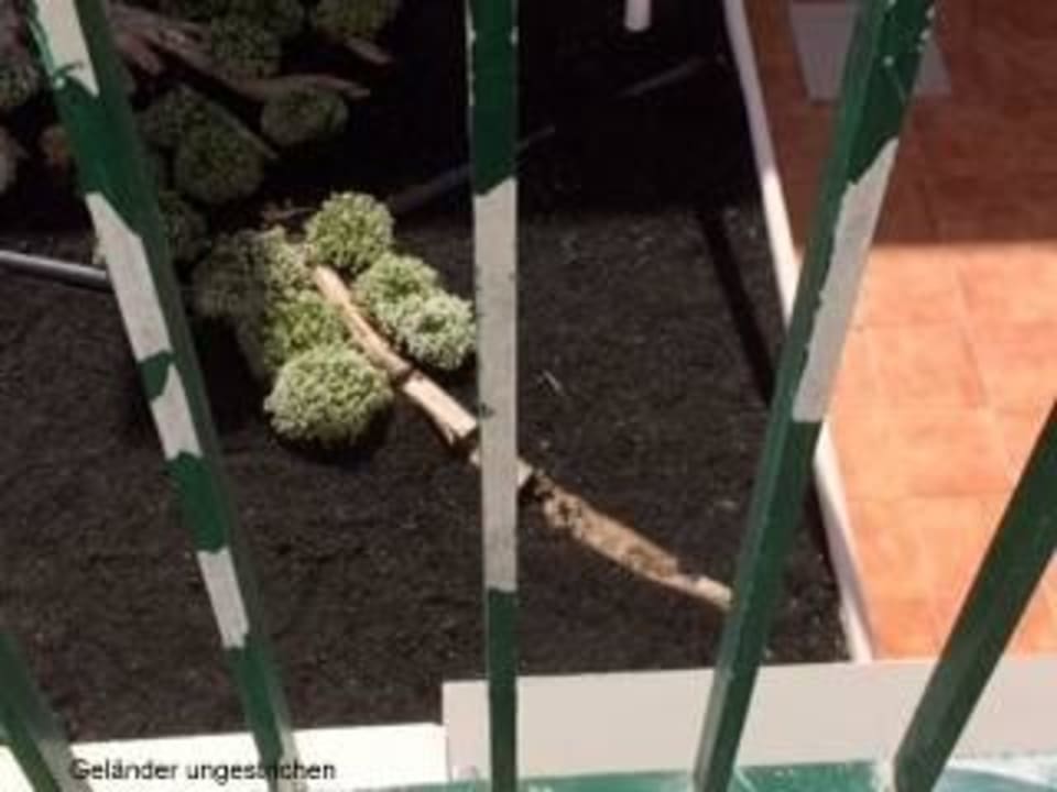 Vor dem Zimmer  H10 Ocean Suites