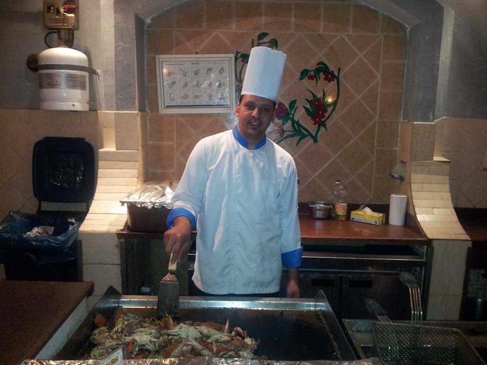 Frische Krabben Pickalbatros Alf Leila Wa Leila Resort - Neverland Hurghada