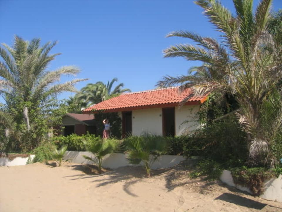 Einfach wunderschön  Paloma Oceana