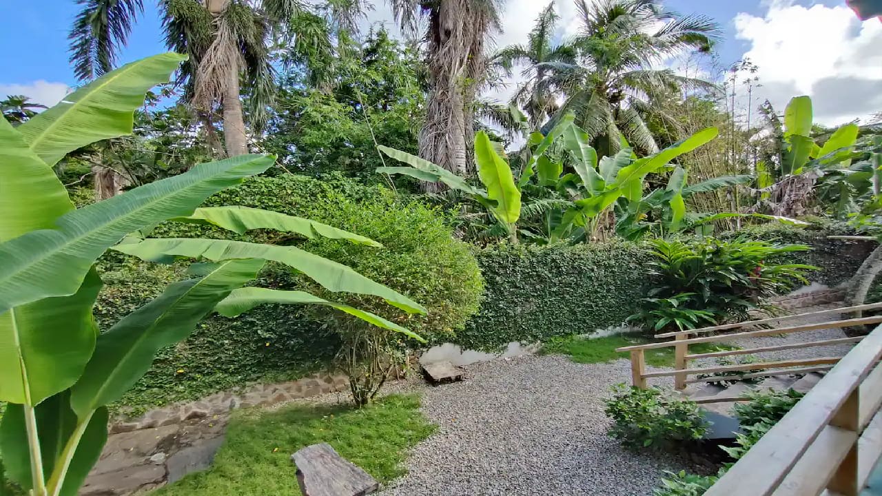 Gartenanlage Guesthouse Jardin Del Caribe
