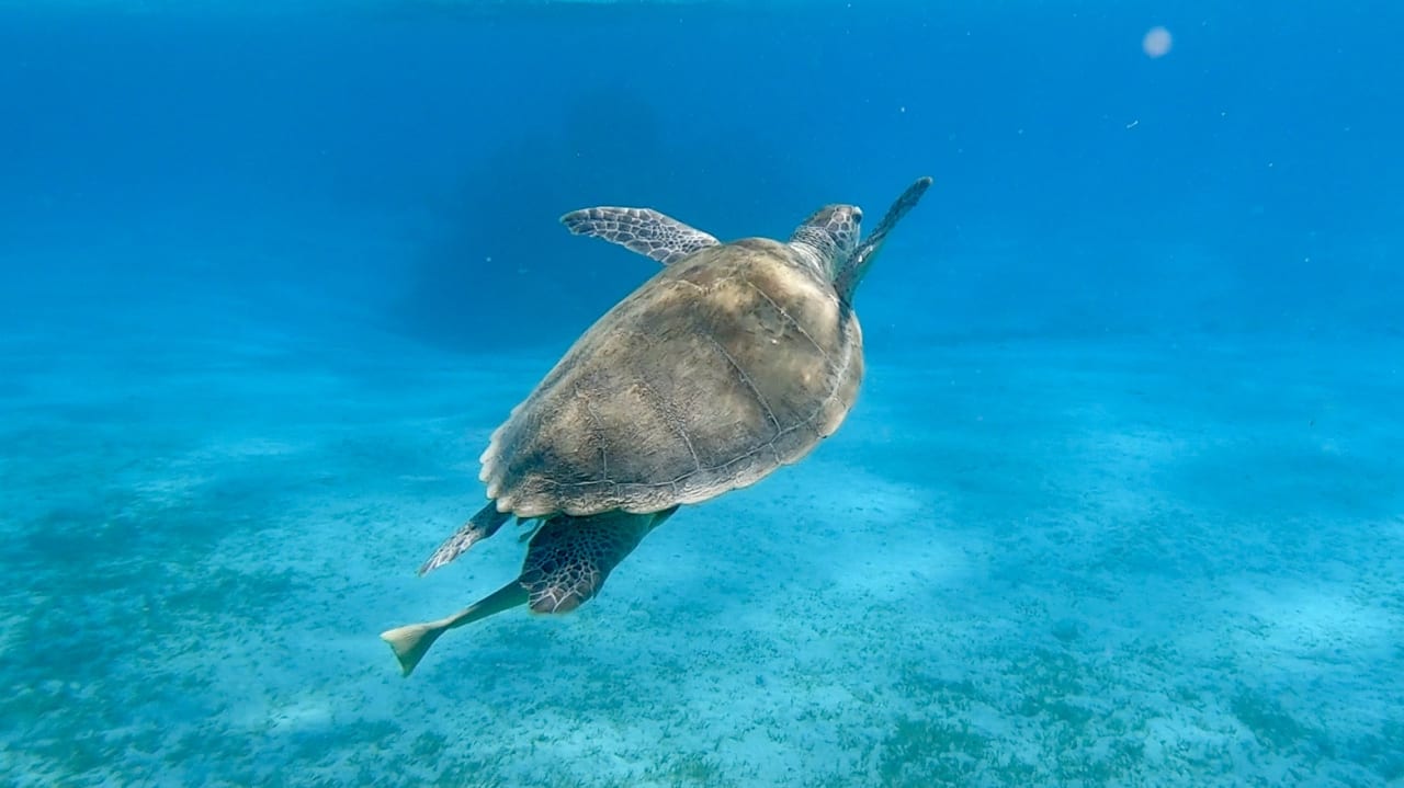 Sport & Freizeit Dream Lagoon Resort & Aqua Park