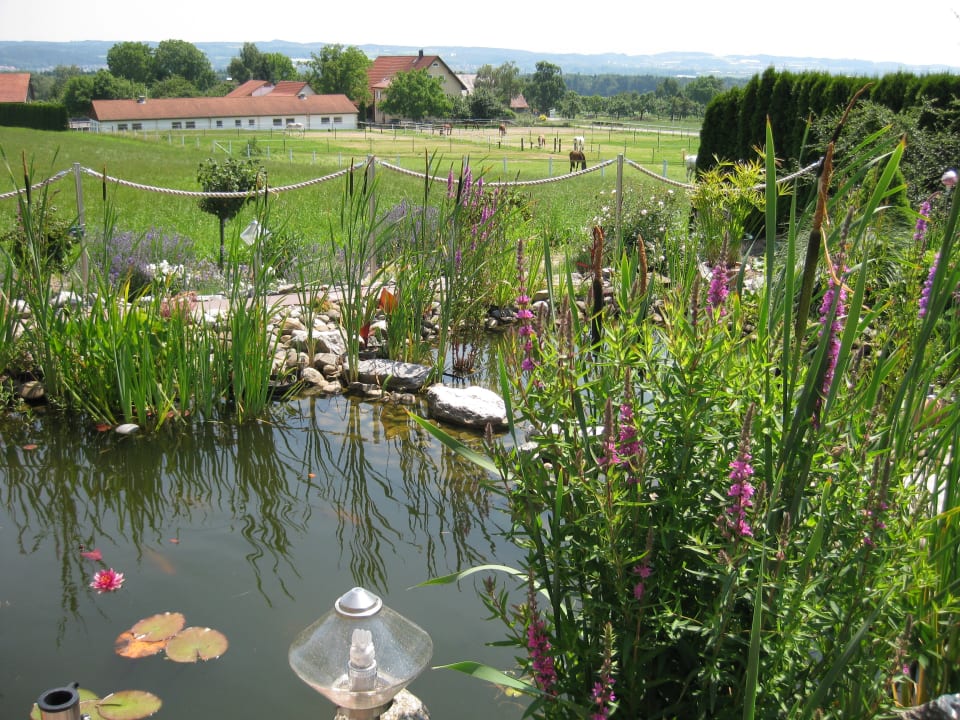 Außenansicht Ferienwohnung am Kronberg