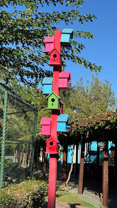 Gartenanlage Kamelya Aishen Club