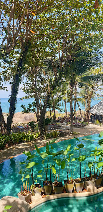 Gartenanlage Moracea by Khao Lak Resort