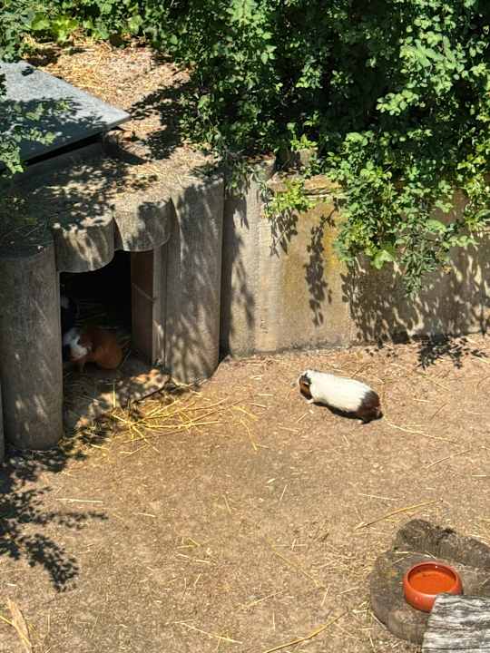 Sport & Freizeit Natur-Resort Tripsdrill