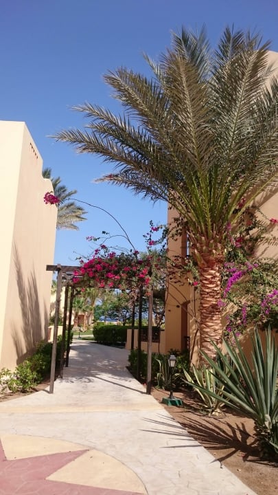 Hotelgebäude maximal 3-geschossig Steigenberger Coraya Beach - Adults only