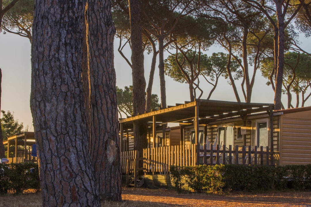 Zimmer Fabulous Village