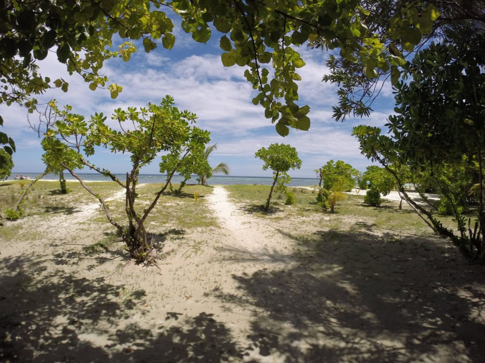 Blick vom Beachbungalow Kuredu Island Resort & Spa