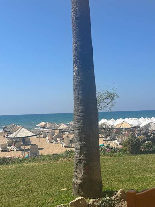 Sonstiges Hotel Defne Garden