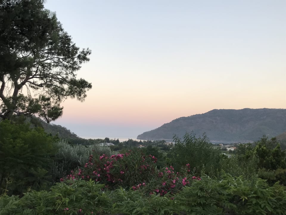 Ausblick LYKIA lodge | home of happiness