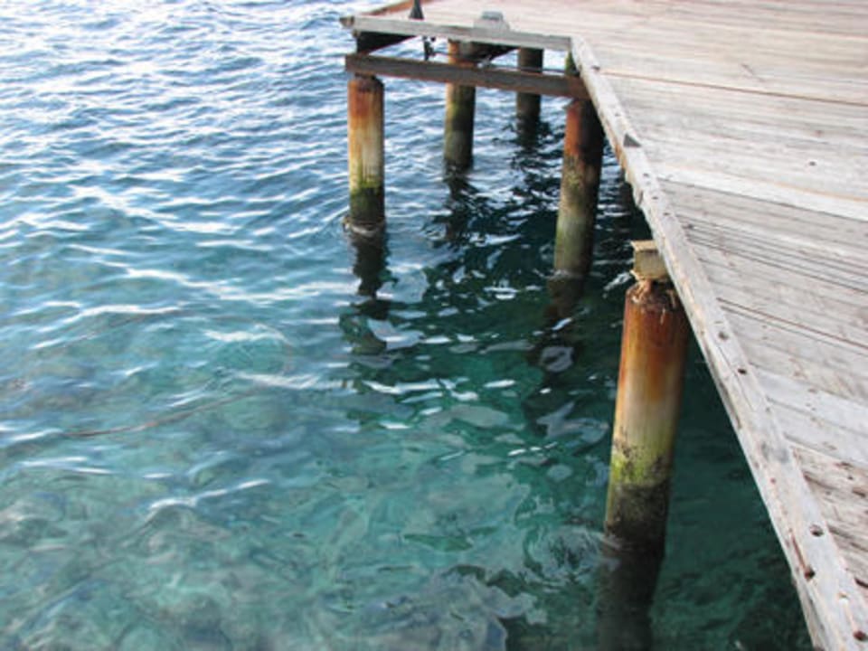 Steg unter dem die Fische sind Adaaran Select Meedhupparu Island Resort - Premium All Inclusive