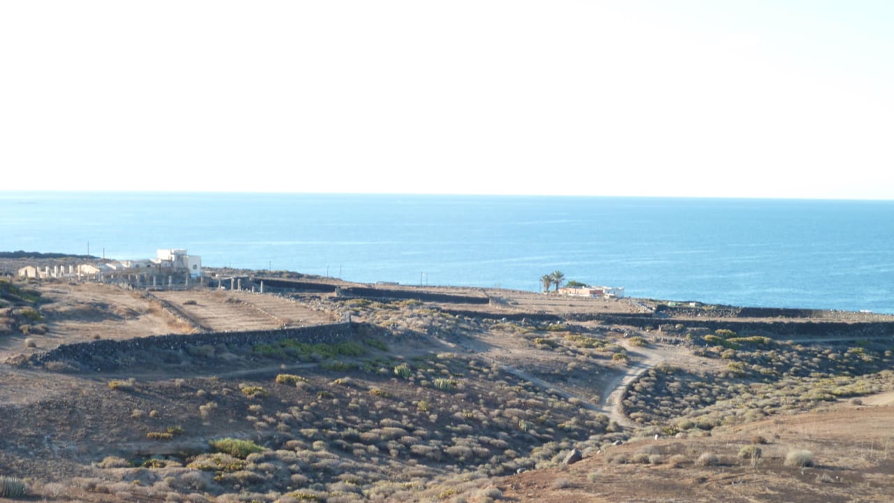 Sehr schöne Natur ums Hotel Bahia Principe Sunlight Costa Adeje