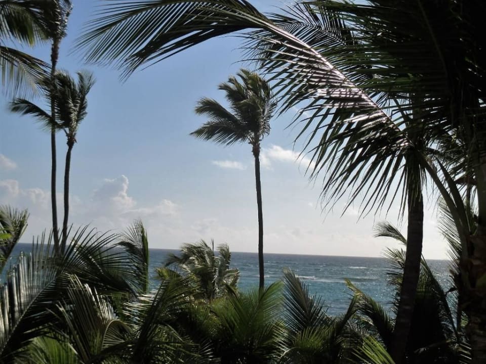 Balkon Hotel Riu Palace Bavaro