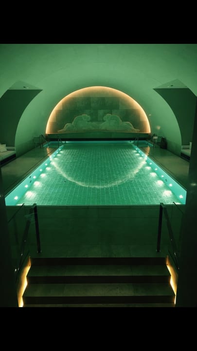 Pool Park Hyatt Vienna