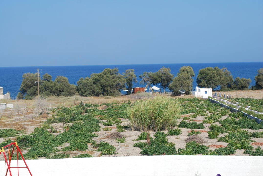 Blick aus dem Panoramafenster der Suite Nr. 911 Hotel Imperial Med Resort & Spa