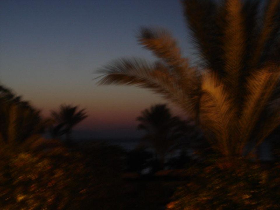 Sonnenaufgang Pickalbatros Royal Grand Resort - Sharm El Sheikh