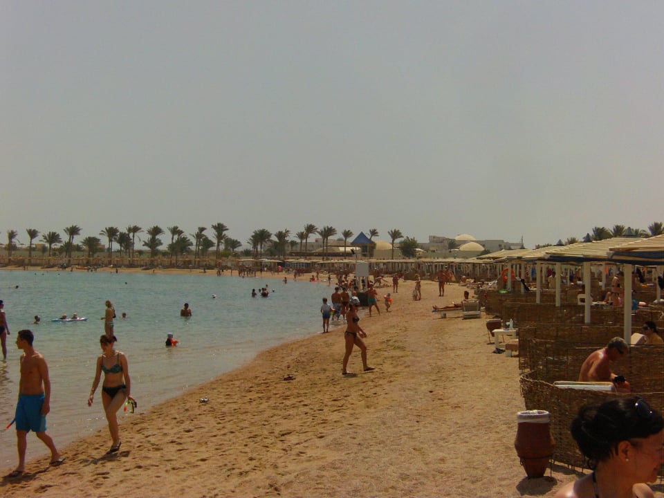 Immer viel los Pickalbatros Dana Beach Resort - Hurghada