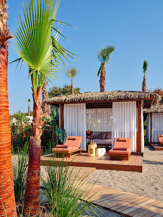 Strand XO Cape Arnna