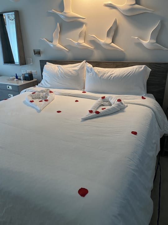 Zimmer Sandals Royal Barbados