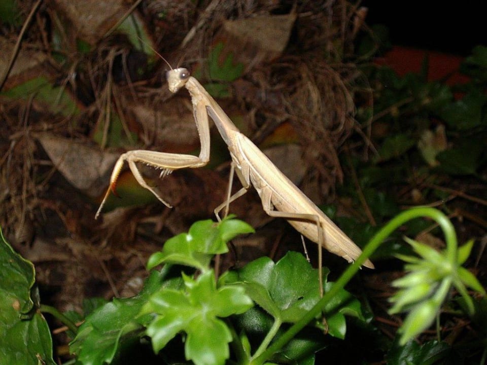 Direkt vor dem Hotel Rubin Hotel