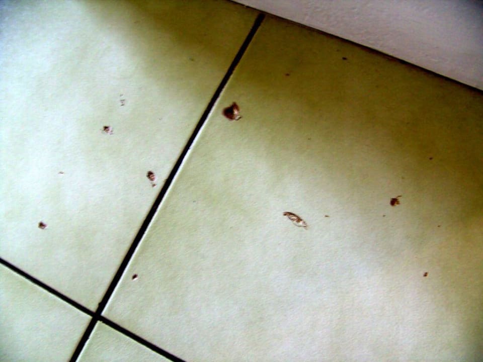 kaputte Fliesen Mermaid Hotel & Club