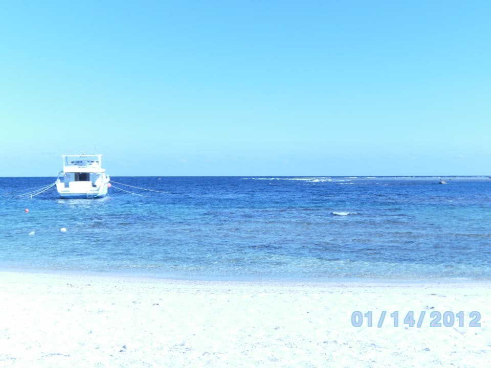 Meer Utopia Beach Club
