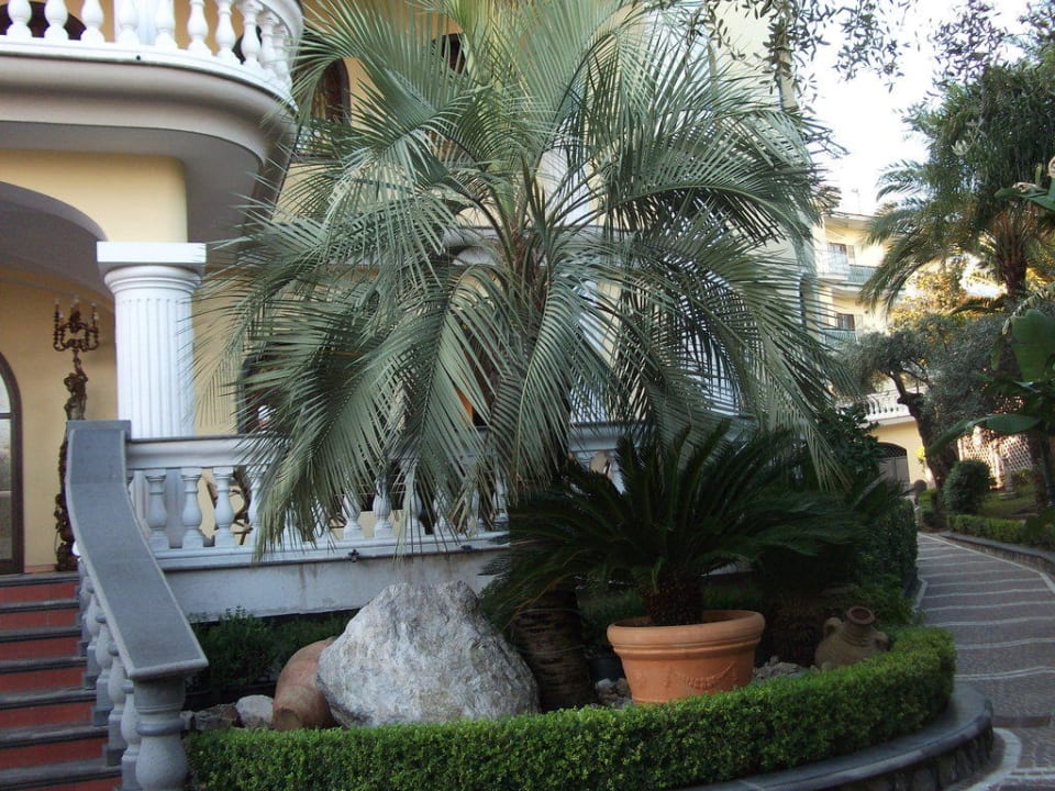 Palmen Villa Le Zagare Relais & SPA