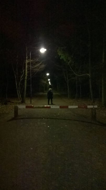 Beleuchteter Waldweg zum Hotel Lindner Hotel Frankfurt Sportpark, part of JdV by Hyatt