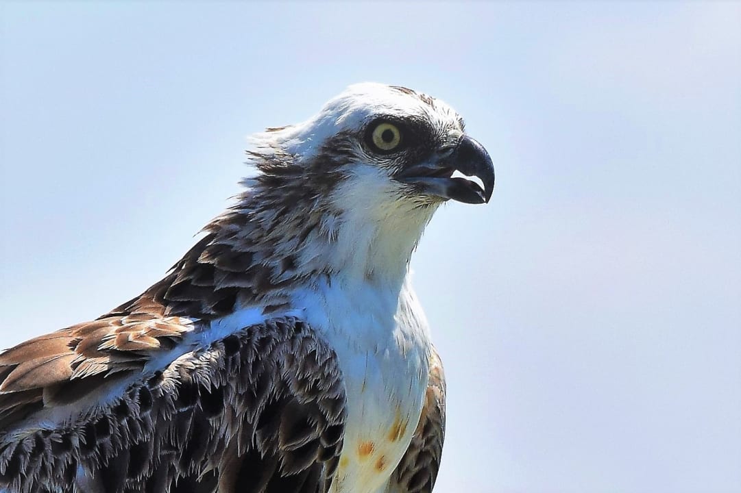 Sonstiges Makadi Spa - Adults only