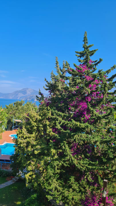 Ausblick Liberty Lykia Adults Only