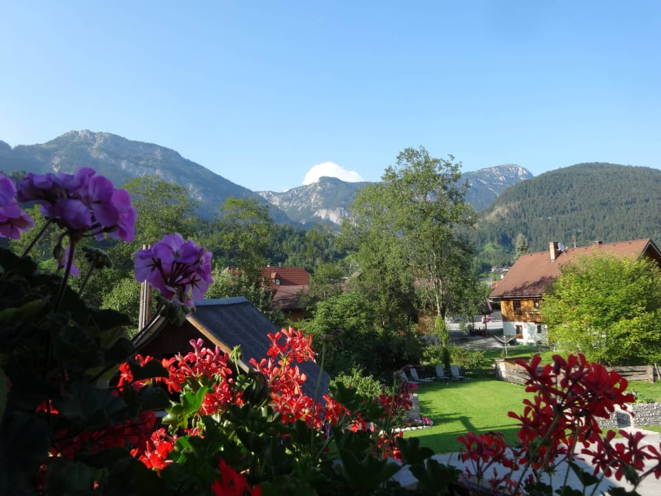 Aussicht Balkon Linharterhof Urlaub am Bauernhof