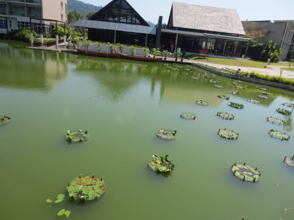 Teich & Frühstücksrestaurant im Hintergrund The Sands Khao Lak by Katathani