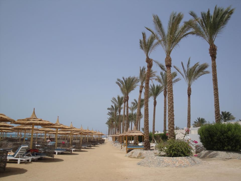 Strand Pickalbatros Alf Leila Wa Leila Resort - Neverland Hurghada