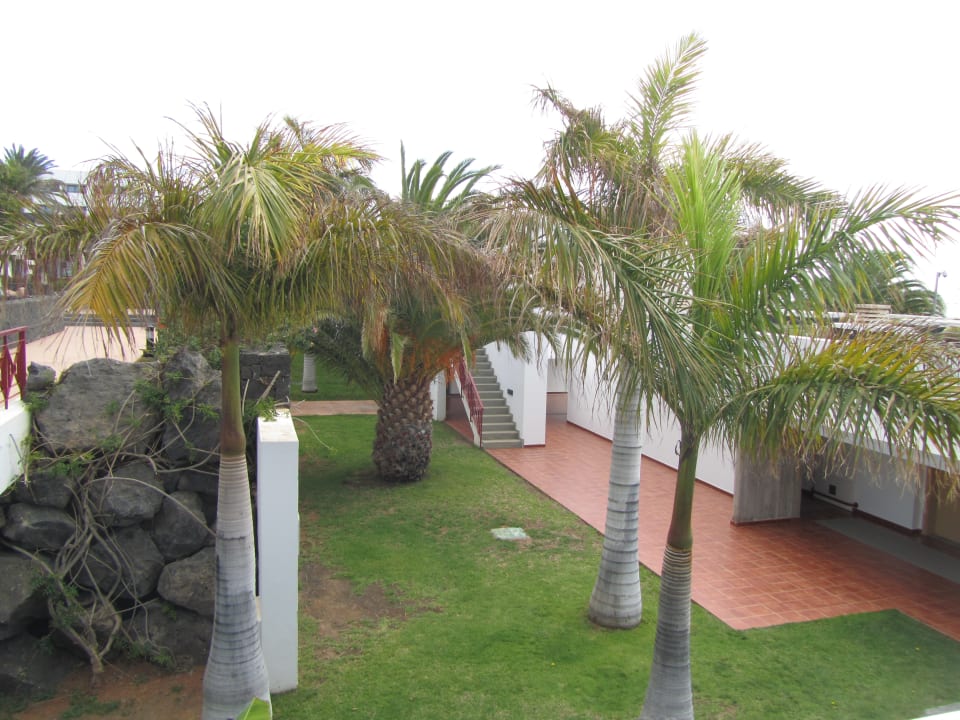 Gartenanlage Hotel Costa Calero