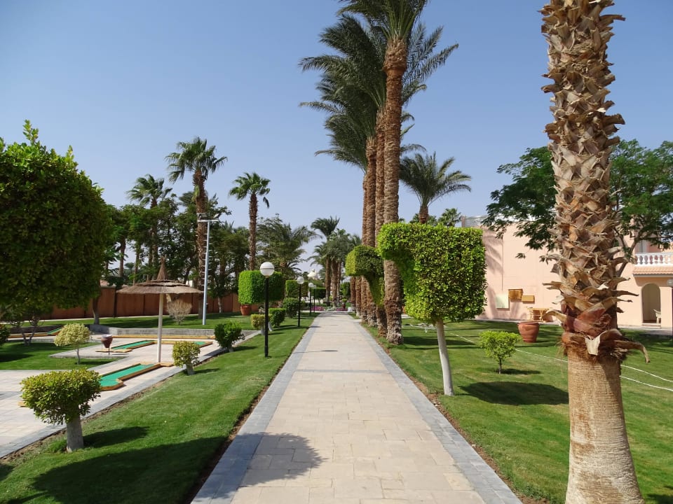 Mit Minigolf Beach Albatros Resort