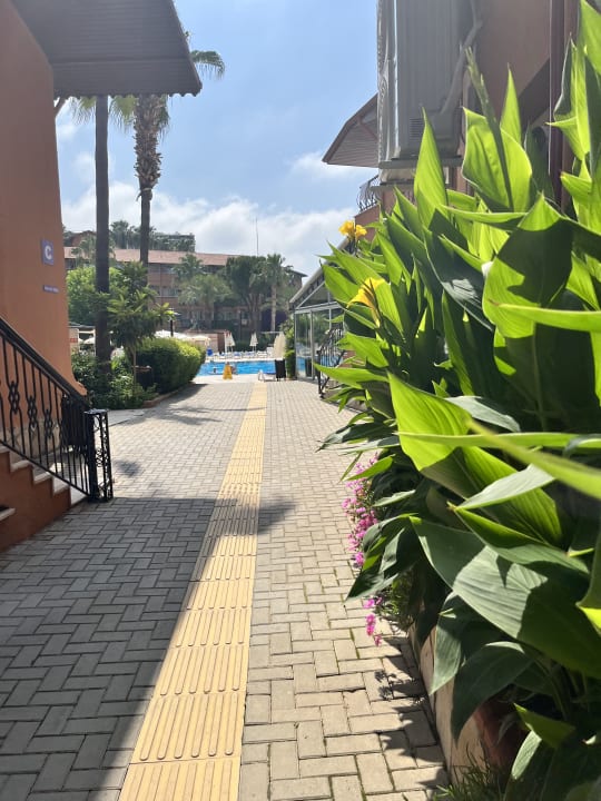 Pool Club Turtas Beach Hotel