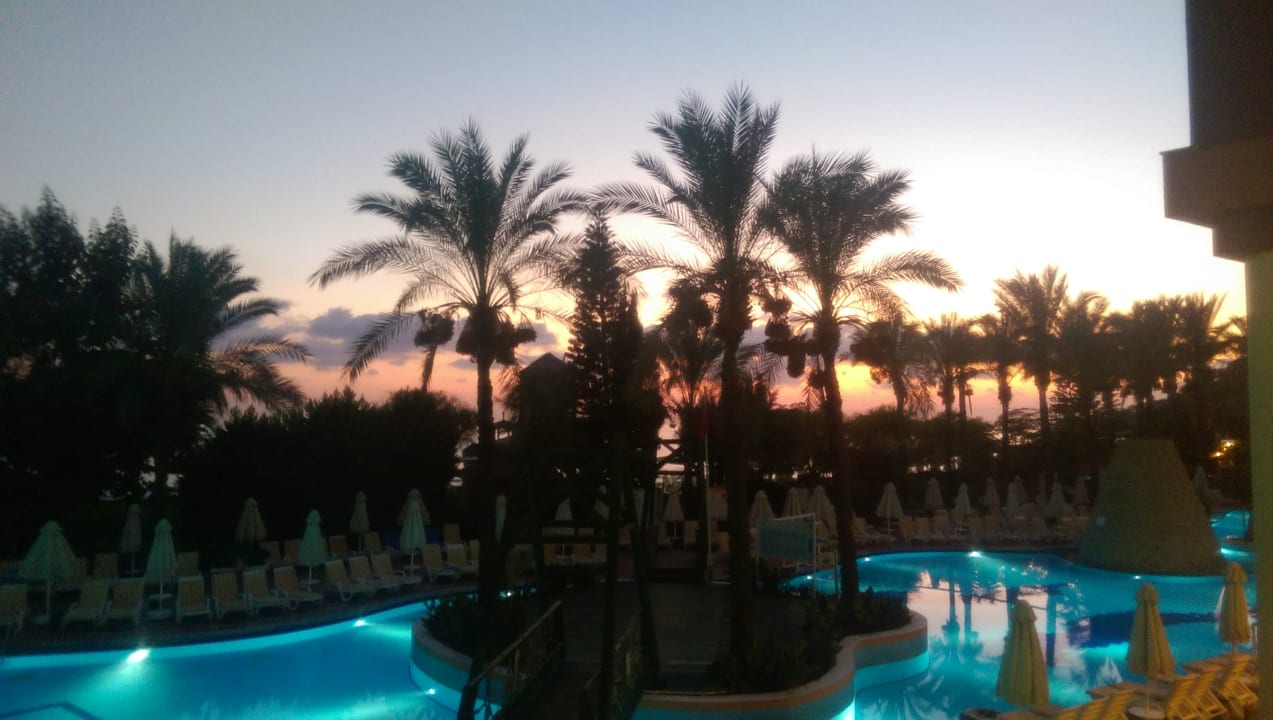 Pool AQI Pegasos Royal