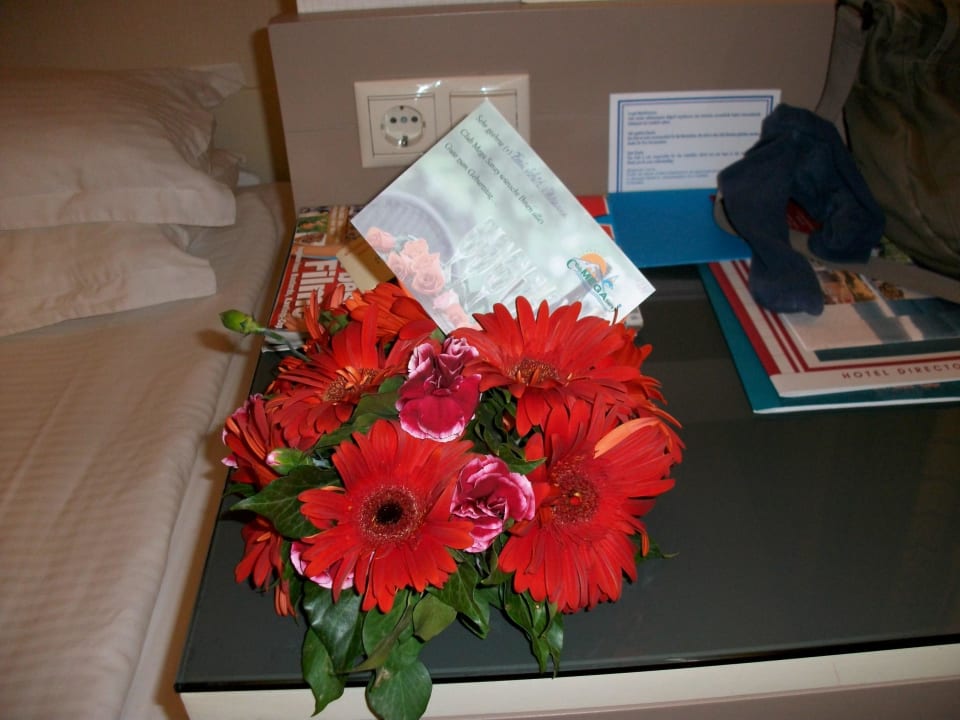 Ein Geburtstagsgruß Megasaray Club Belek