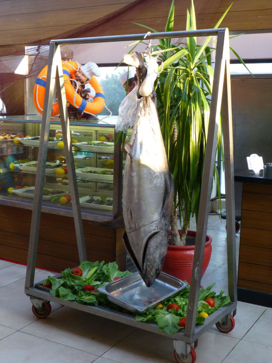 Leider nur einmakl in 2 Wochen... Limak Limra Hotel & Resort