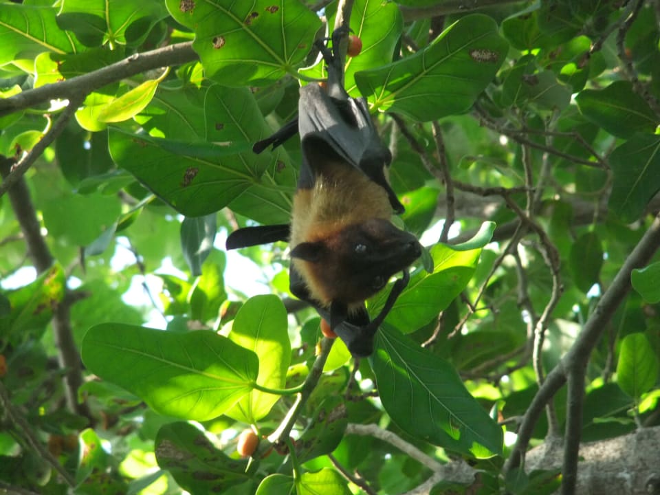 Garten Adaaran Select Hudhuran Fushi - Premium All Inclusive