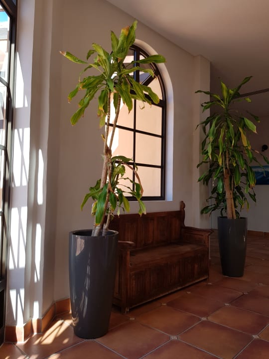 Lobby Bakour Fuerteventura La Pared