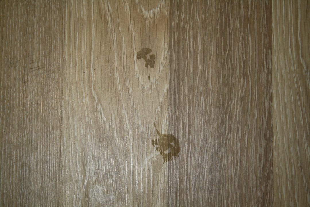 Dreck vom Vorgänger Wyndham Garden Lara