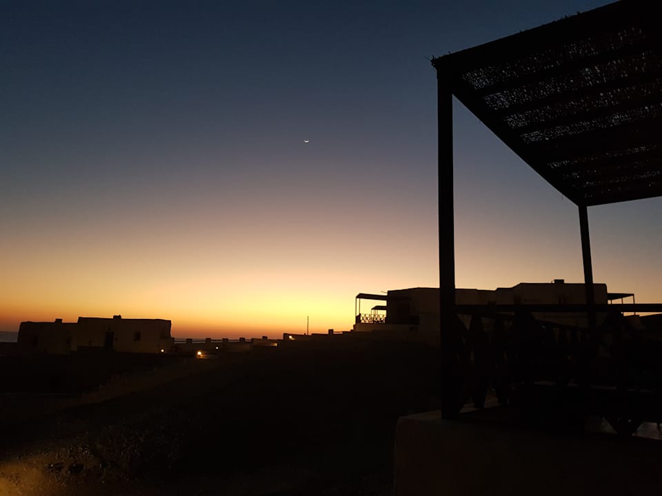 Ausblick The Oasis Dive Resort